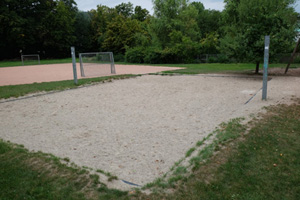 Krähe